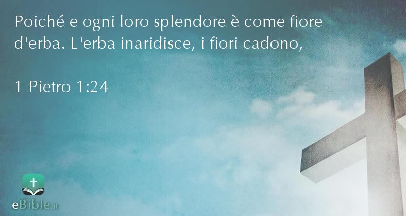 Bibbia 1 Pietro capitolo 1 versetto 24