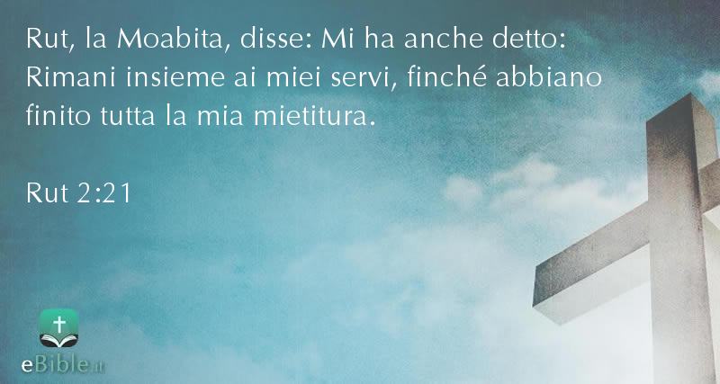 Bibbia Rut capitolo 2 versetto 21