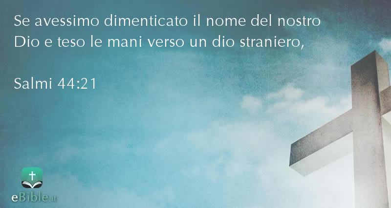 Bibbia Salmi capitolo 44 versetto 21